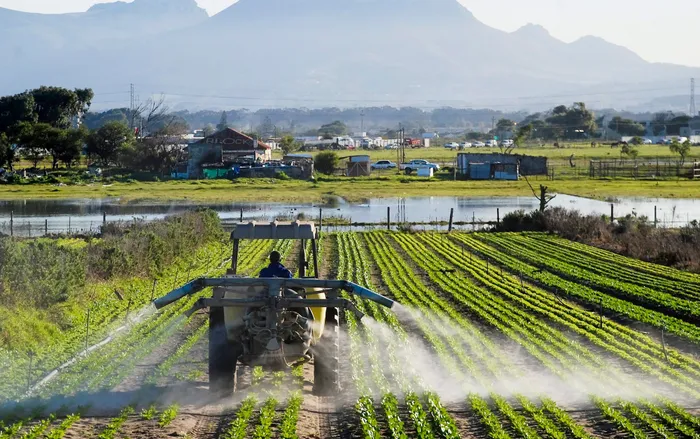COMPENSATION FUND TAKES ITS AGRICULTRAL ENGAGEMENTS TO THE NORTHERN CAPE DEL- IMAGE: IOL